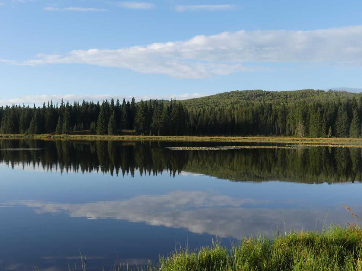 Schott'S Lake Conference & Resort Sundre Exteriör bild
